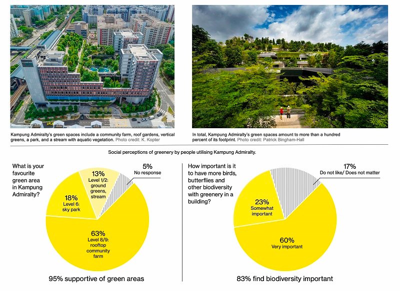 Survey findings from BioSEA on Kampung Admiralty 
